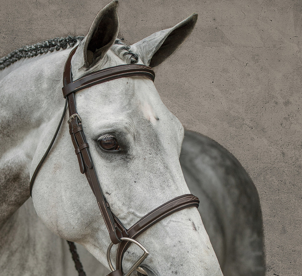 Single Crown Hunter Bridle