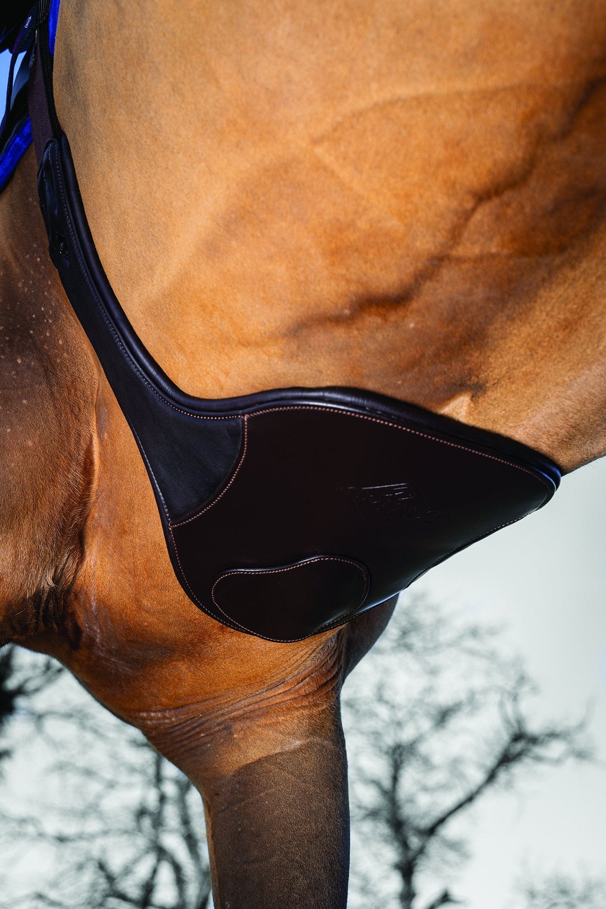 Gel-Tek Anatomic Long Stud Girth with Magnet