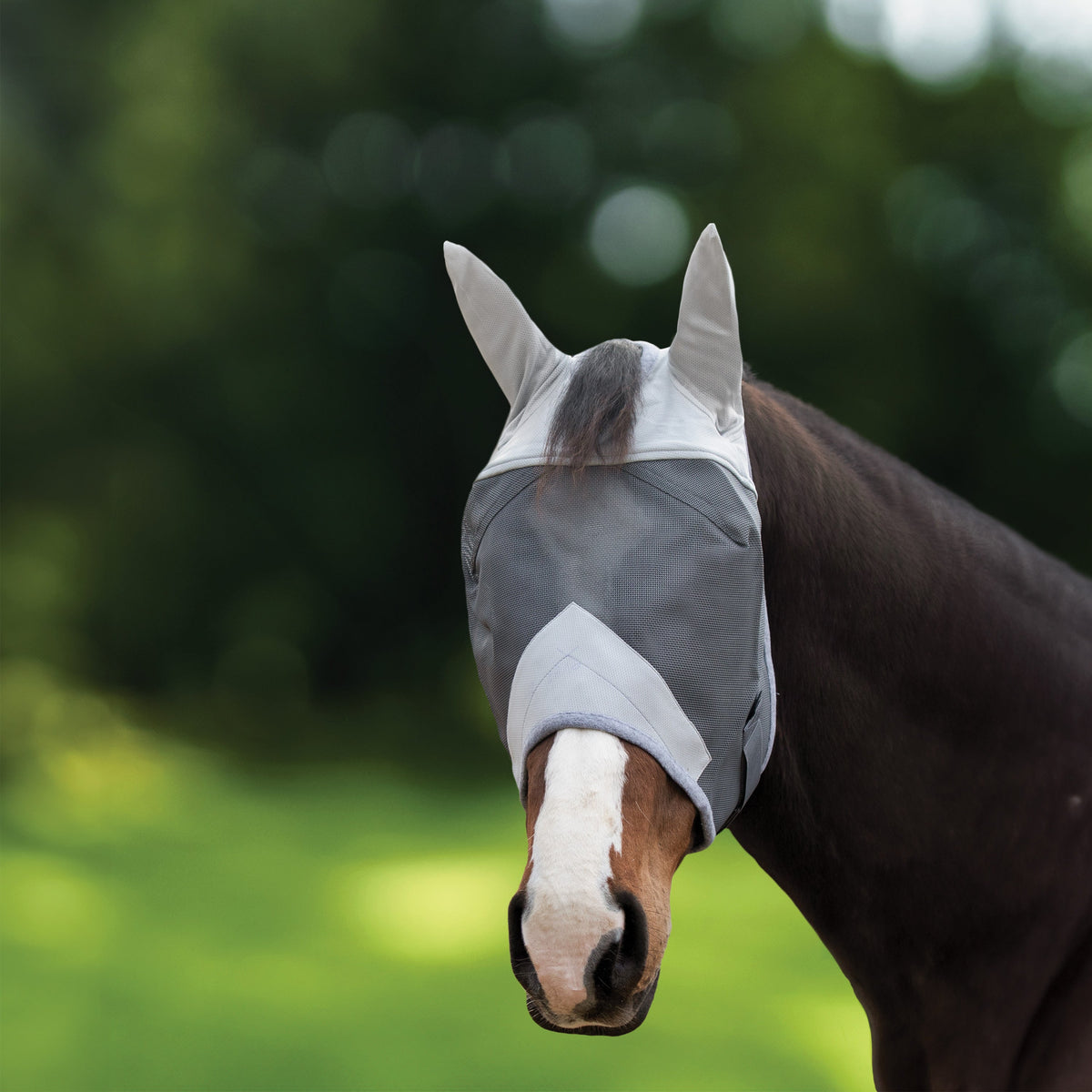 Fly Mask with Ears