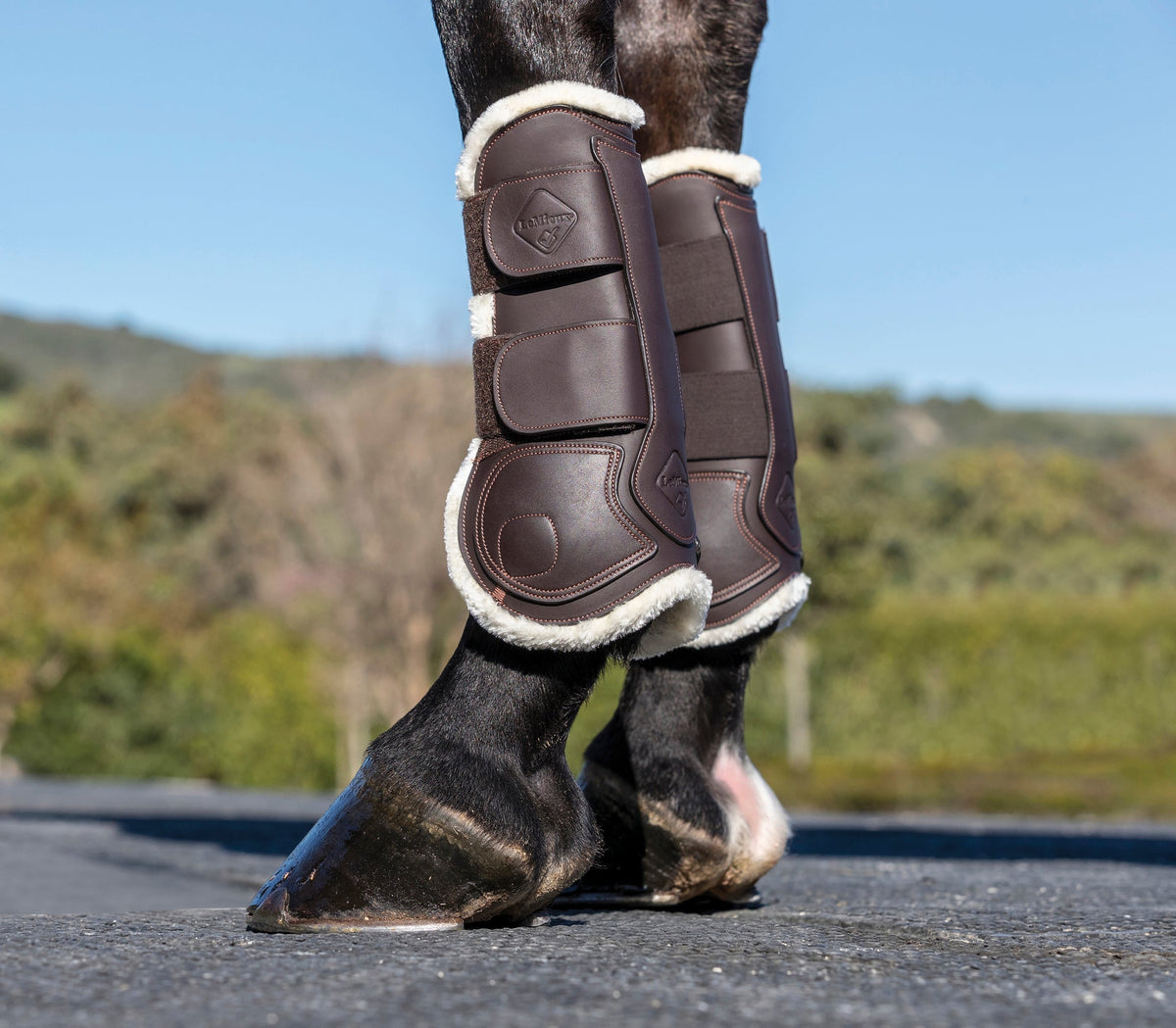 Capella Comfort Tendon Boots