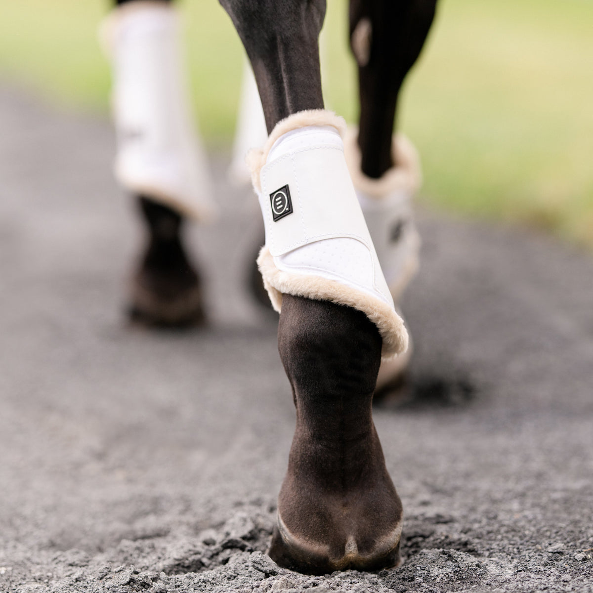 Essential Hind Boots, Vegan