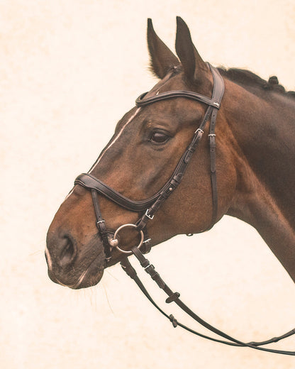 Equitus Alpha Bridle