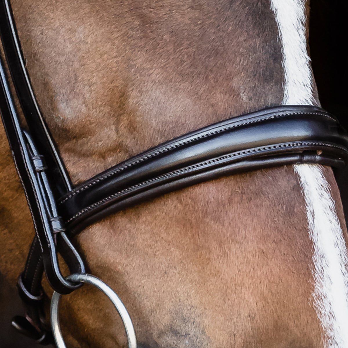 Monza Bridle