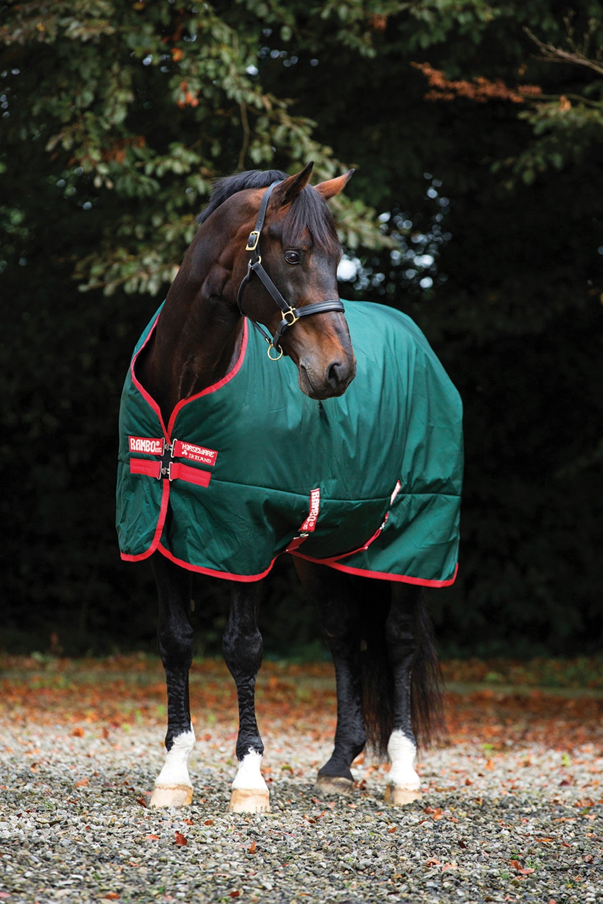 iginal 1000D Heavyweight Turnout–400G