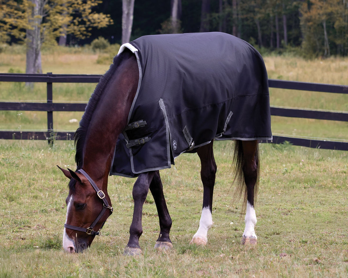 Supreme 100 Gram Turnout Blanket