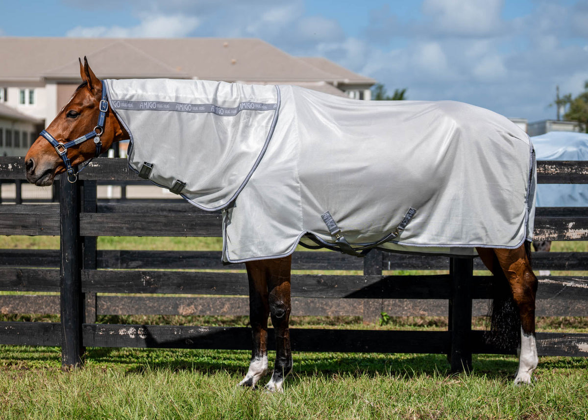 Bug Rug Plus Fly Sheet